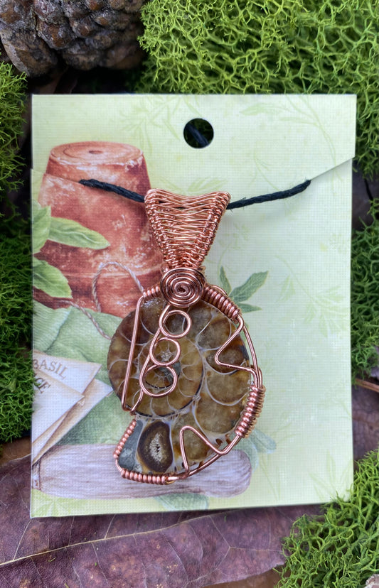 Ammonite Fossil Wrapped in Copper - WillowTree Artistry