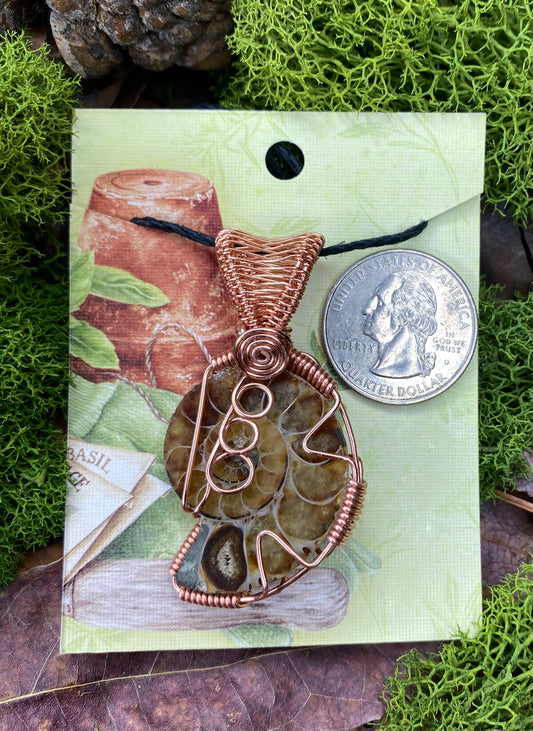 Ammonite Fossil Wrapped in Copper - WillowTree Artistry