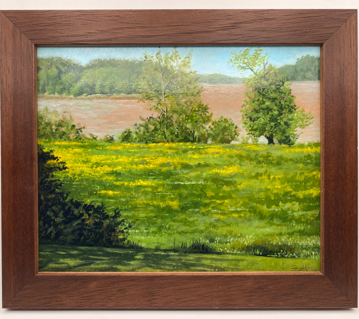 Sydney Robke - River View