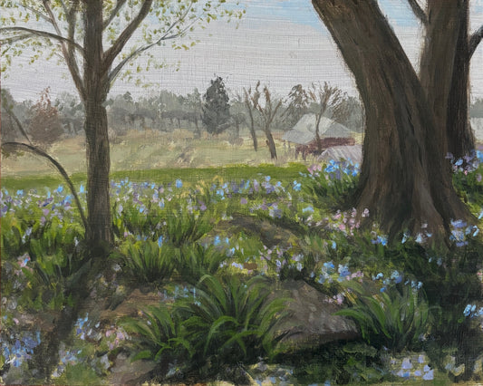 Sydney Robke - Bluebells